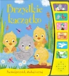 Naciśnij przycisk, słuchaj i czytaj. Brzydkie kaczątko - zdjęcie