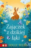 Na ratunek zwierzętom. Zajączek z dzikiej łąki - zdjęcie