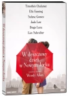 W deszczowy dzień w Nowym Jorku, DVD - zdjęcie