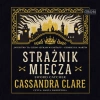 CD MP3 Strażnik miecza - zdjęcie