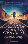 Droga spadających gwiazd - zdjęcie
