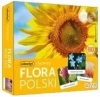 Memory - Flora Polski - zdjęcie