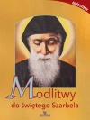 Modlitwy do świętego Szarbela - zdjęcie