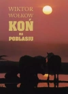 Koń na Podlasiu - zdjęcie