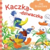 Kaczka-dziwaczka - zdjęcie