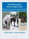 Kształtowanie równowagi konia - zdjęcie