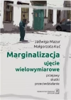 Marginalizacja - ujęcie wielowymiarowe - zdjęcie
