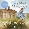 Splątane losy Audiobook - zdjęcie