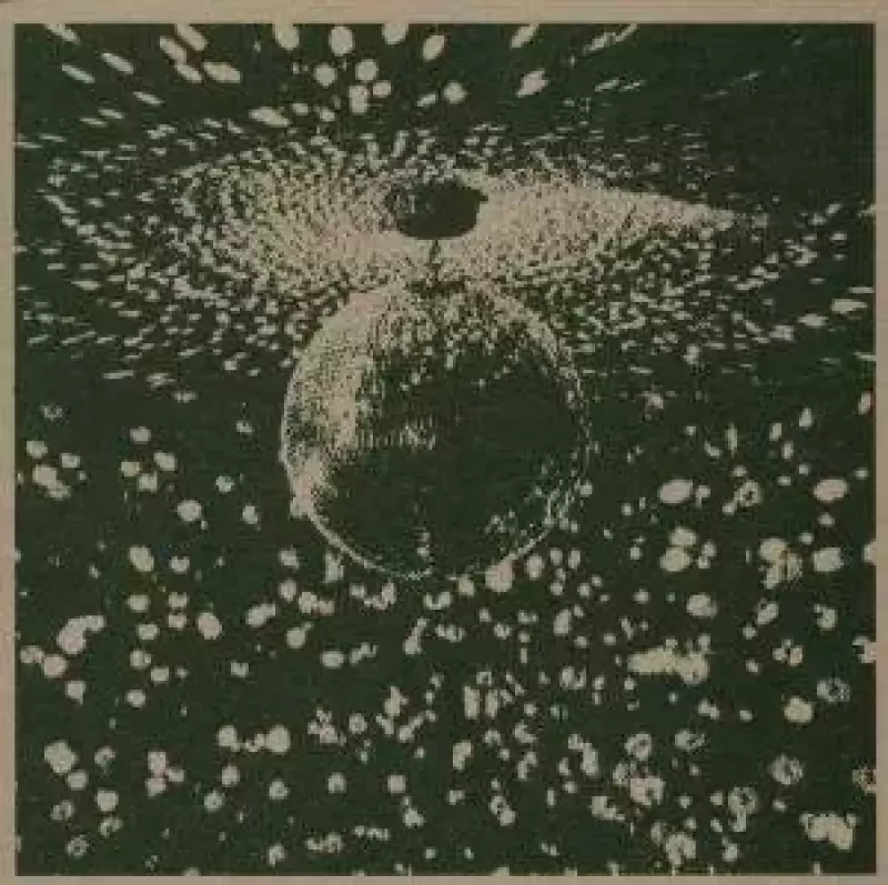 Mirror Ball. CD Mirror Ball. CD