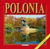 POLSKA 241 FOTOGRAFII WER.HISZPAŃSKA TW - zdjęcie