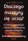 Dlaczego maszyny się uczą? - zdjęcie