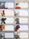 Naklejki na zeszyty pasek The Sweet Pets - zdjęcie