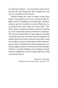 Dajalama o mistycyzmie, zdjęcie 12