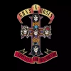 Appetite For Destruction. Deluxe Edition, 2 CD - zdjęcie