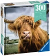 Puzzle 300 elementów. Szkocka krowa - zdjęcie
