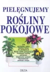 Pielęgnujemy rośliny pokojowe - zdjęcie