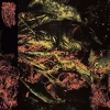 Permanent Destitution, CD - zdjęcie
