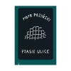 Ptasie ulice - zdjęcie