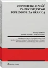 Odpowiedzialność za przestępstwo popełnione za granicą - zdjęcie