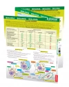 Biologia - maxi ściąga - zdjęcie