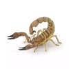 Skorpion - zdjęcie