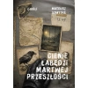Cienie łabędzi i martwej przeszłości - zdjęcie