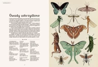 Animalium. Muzeum Zwierząt, zdjęcie 2