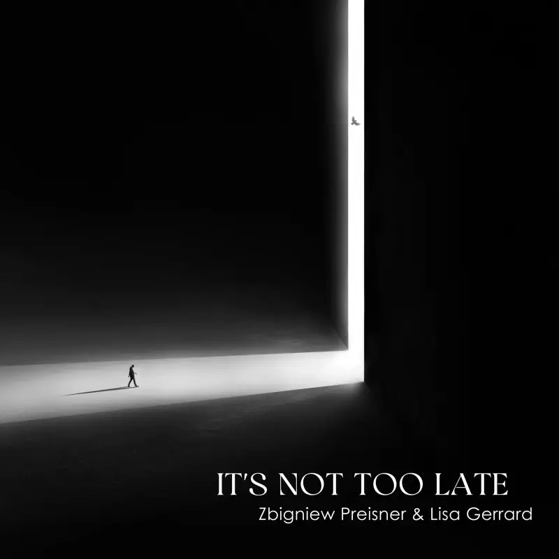It's Not Too Late, Winyl It's Not Too Late, Winyl