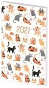 Kalendarz 2027 A6 tygodniowy PCV bezbarwny MIX - zdjęcie