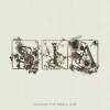 Colour The Small One (COLOR 2xLP), Winyl - zdjęcie