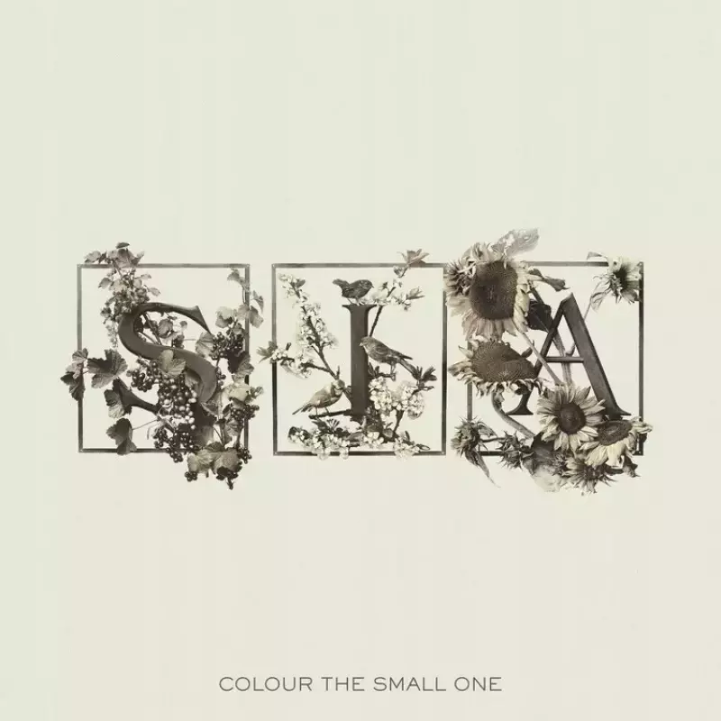 Colour The Small One (COLOR 2xLP), Winyl