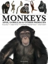Monkeys - zdjęcie