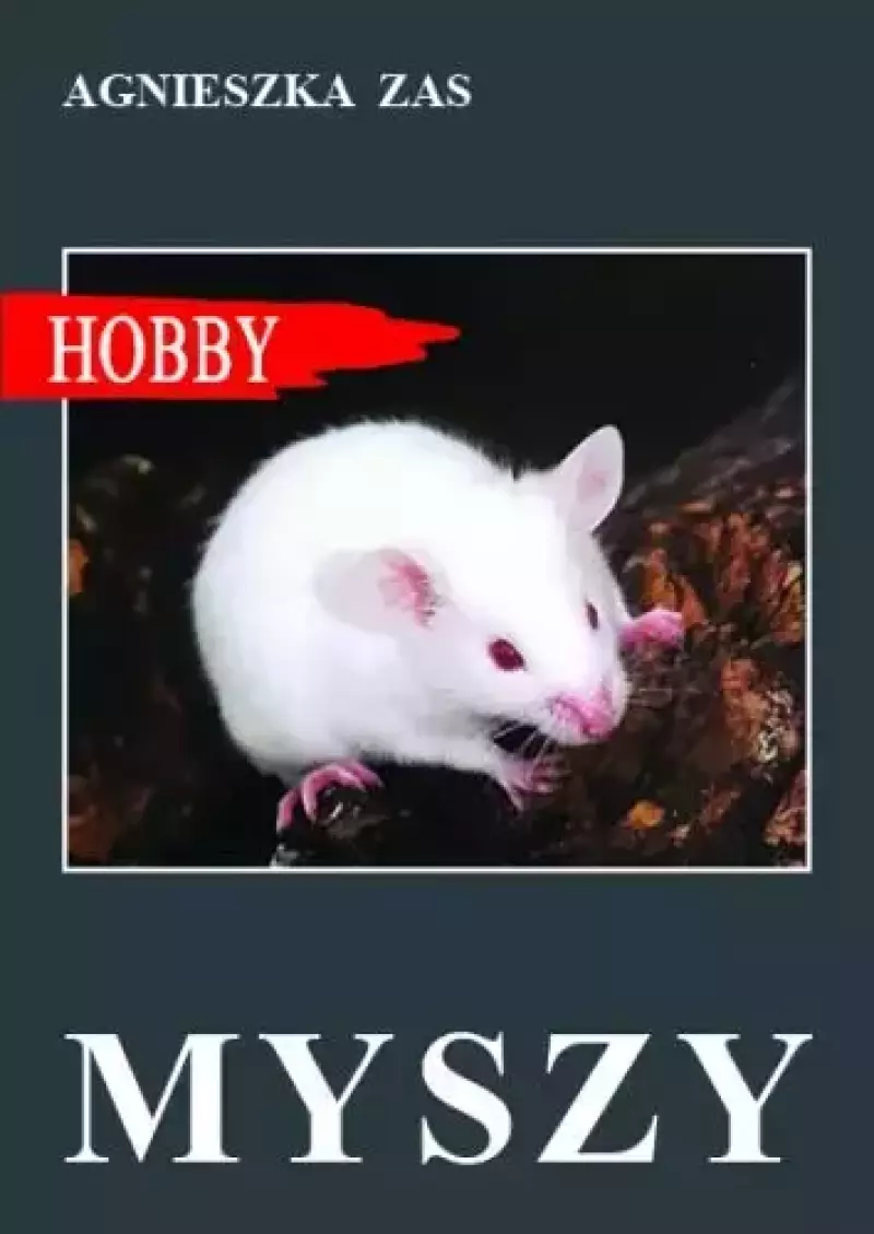 Myszy Myszy