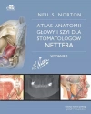 Atlas anatomii głowy i szyi dla stomatologów Nettera - zdjęcie