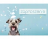 Zaproszenie, Piesek urodzinowy, 160x95 cm z kopertą, 10 szt. - zdjęcie