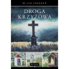 Droga krzyżowa (Szkodoń) - zdjęcie