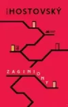 Zaginiony - zdjęcie