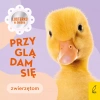 Przyglądam się zwierzętom - zdjęcie