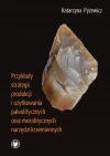 Przykłady strategii produkcji i użytkowania paleolitycznych oraz mezolitycznych narzędzi krzemiennych - zdjęcie
