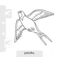 Pokoloruj. Ptaki, zdjęcie 2
