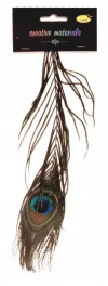 Pióro pawia 25cm - zdjęcie