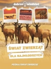 Świat zwierząt dla najmłodszych - zdjęcie