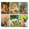 Zeszyt A5 32 kartki w kratkę Animals, mix wzorów - zdjęcie
