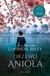Drzewo anioła - zdjęcie