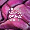 Future Sounds Of Jazz Vol 12 LP BLACK, Winyl - zdjęcie