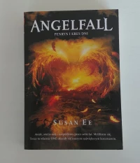 Angelfall Penryn i kres dni, zdjęcie 2