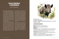 Głupie zwierzęta Polski i jak je znaleźć. Przewodnik świadomego obserwatora, zdjęcie 3