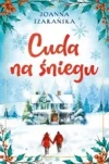 Cuda na śniegu - zdjęcie