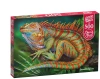 Puzzle 500 elementów. Niesamowita Iguana 20128 - zdjęcie