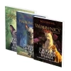 Pakiet: Tygrysia Gwiazda i Sasza. Cykl Wojownicy. Manga. Tom 1-3 - zdjęcie
